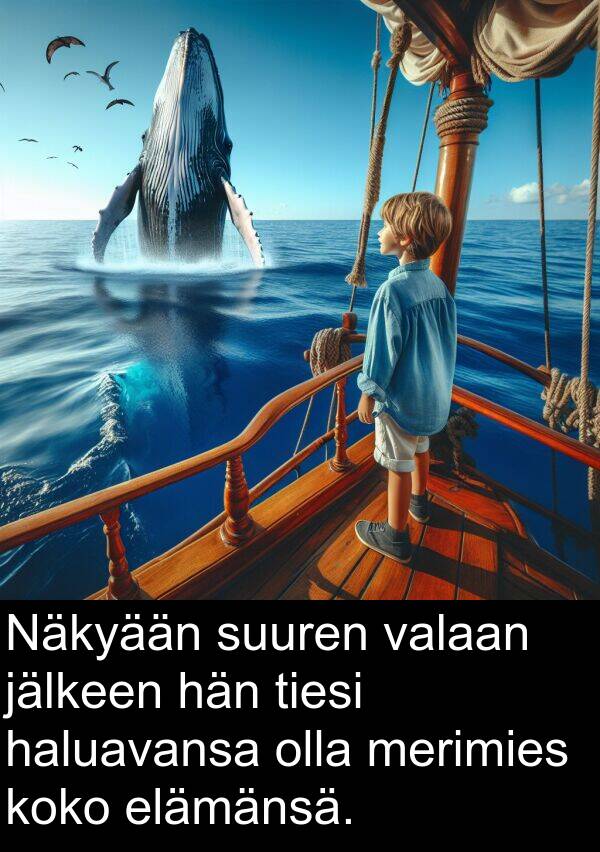 merimies: Näkyään suuren valaan jälkeen hän tiesi haluavansa olla merimies koko elämänsä.