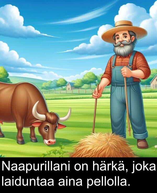 joka: Naapurillani on härkä, joka laiduntaa aina pellolla.