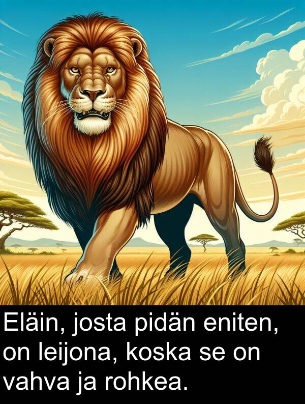 leijona: Eläin, josta pidän eniten, on leijona, koska se on vahva ja rohkea.