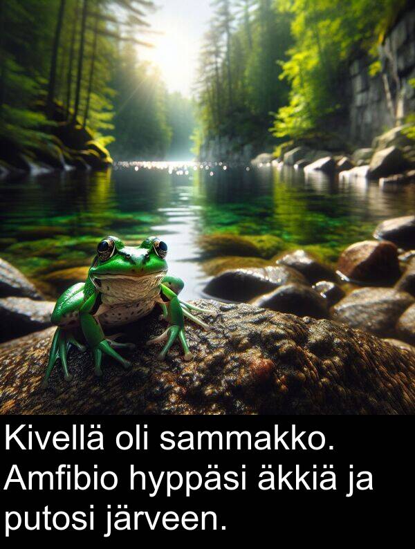sammakko: Kivellä oli sammakko. Amfibio hyppäsi äkkiä ja putosi järveen.