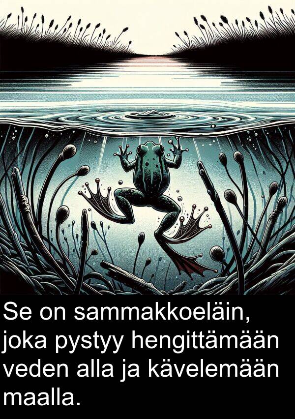 sammakkoeläin: Se on sammakkoeläin, joka pystyy hengittämään veden alla ja kävelemään maalla.