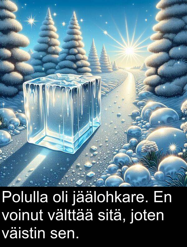 sen: Polulla oli jäälohkare. En voinut välttää sitä, joten väistin sen.