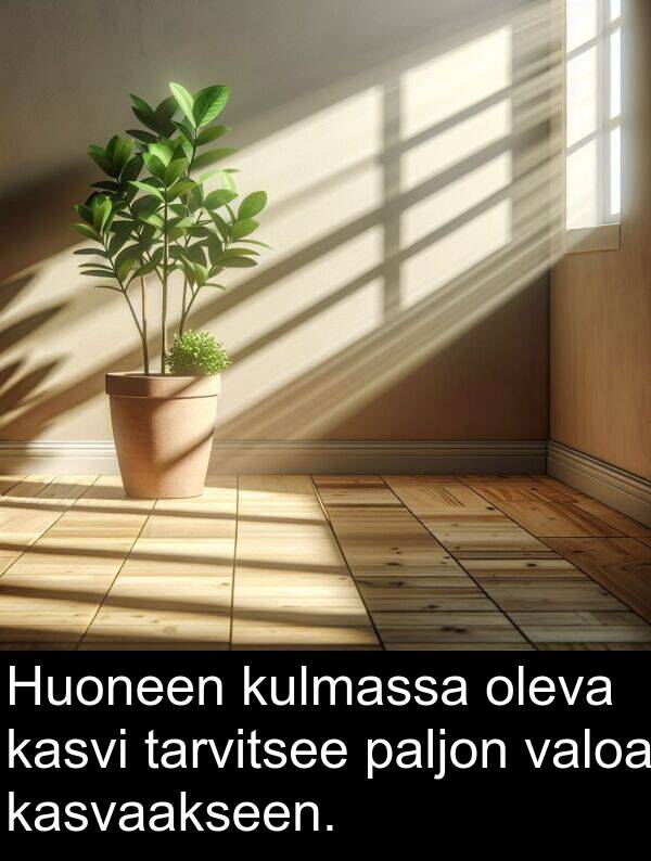 valoa: Huoneen kulmassa oleva kasvi tarvitsee paljon valoa kasvaakseen.