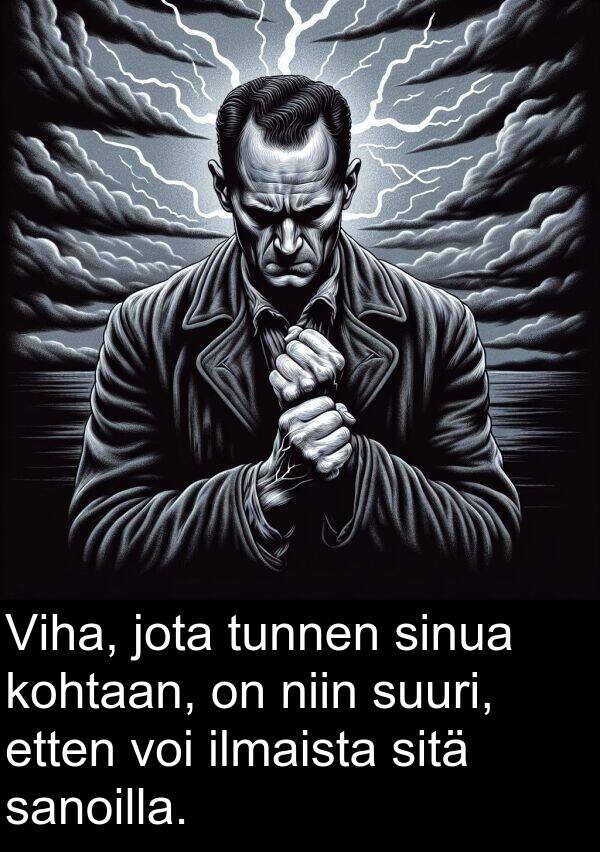 sinua: Viha, jota tunnen sinua kohtaan, on niin suuri, etten voi ilmaista sitä sanoilla.