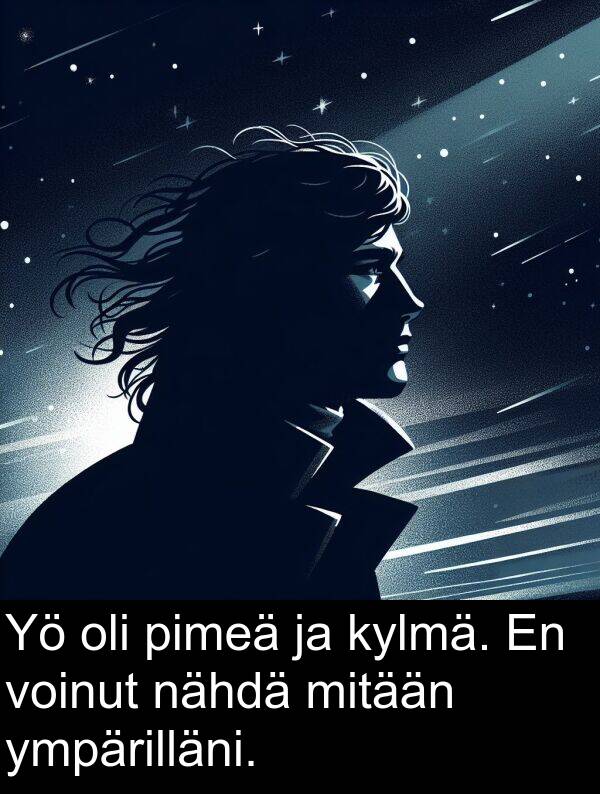 nähdä: Yö oli pimeä ja kylmä. En voinut nähdä mitään ympärilläni.
