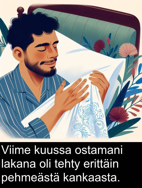 lakana: Viime kuussa ostamani lakana oli tehty erittäin pehmeästä kankaasta.