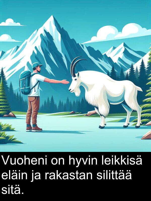 silittää: Vuoheni on hyvin leikkisä eläin ja rakastan silittää sitä.