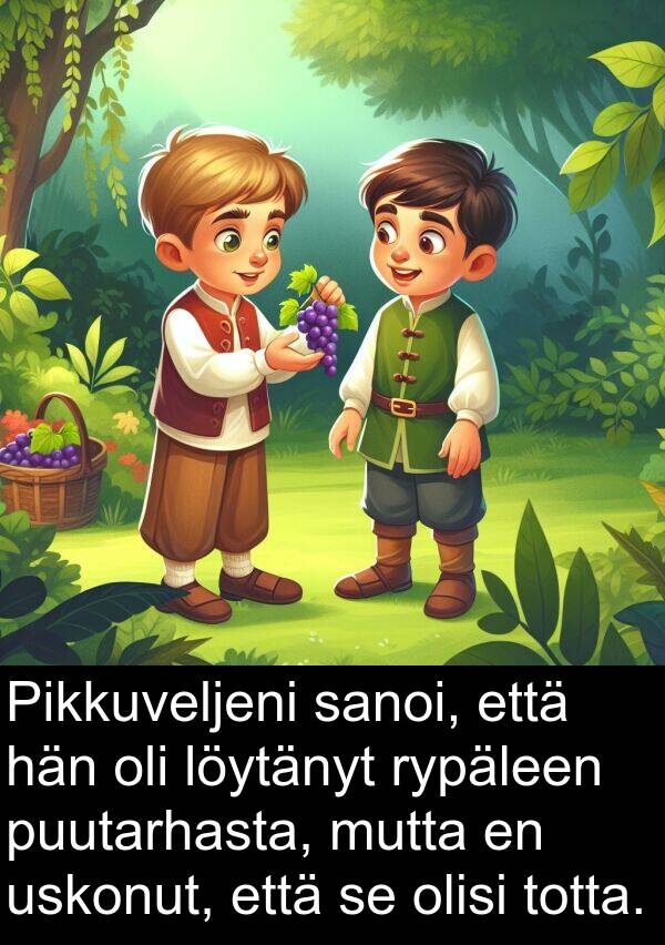 sanoi: Pikkuveljeni sanoi, että hän oli löytänyt rypäleen puutarhasta, mutta en uskonut, että se olisi totta.