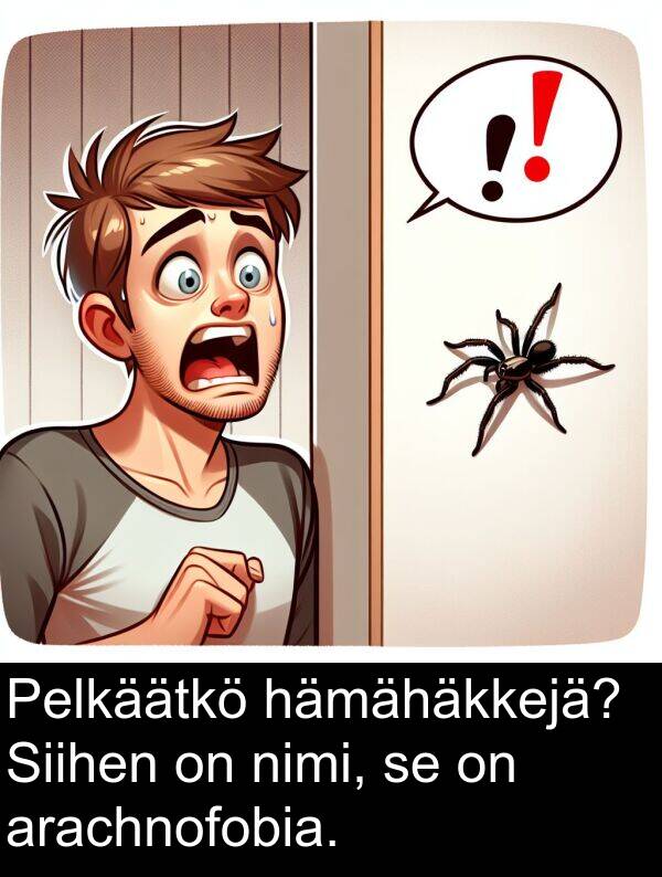 arachnofobia: Pelkäätkö hämähäkkejä? Siihen on nimi, se on arachnofobia.