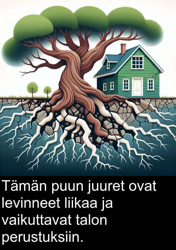 talon: Tämän puun juuret ovat levinneet liikaa ja vaikuttavat talon perustuksiin.