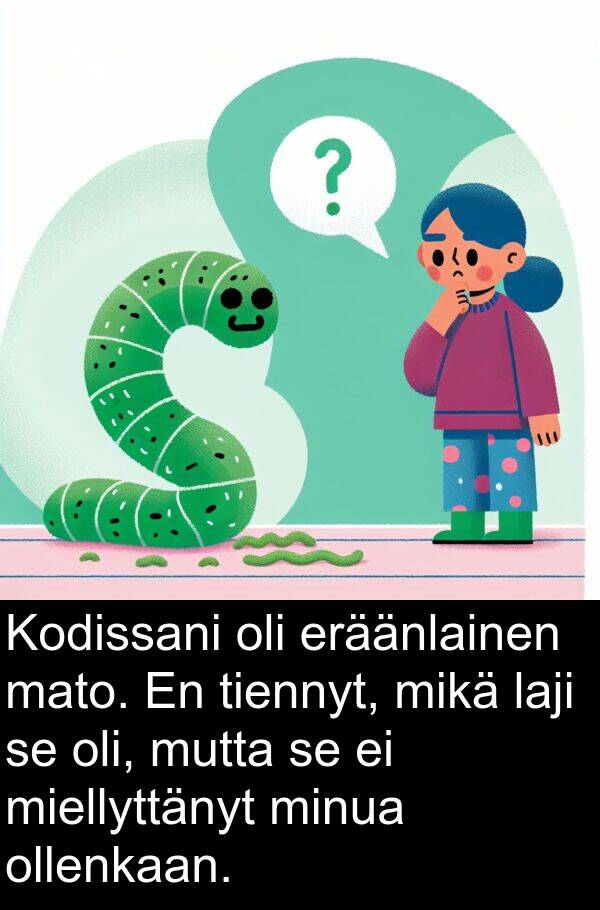 miellyttänyt: Kodissani oli eräänlainen mato. En tiennyt, mikä laji se oli, mutta se ei miellyttänyt minua ollenkaan.