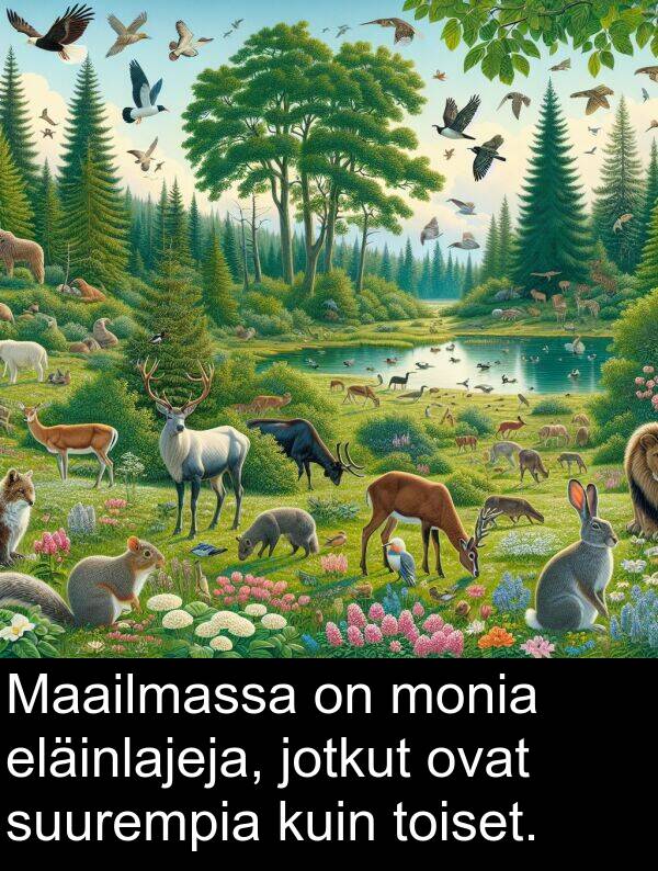 suurempia: Maailmassa on monia eläinlajeja, jotkut ovat suurempia kuin toiset.