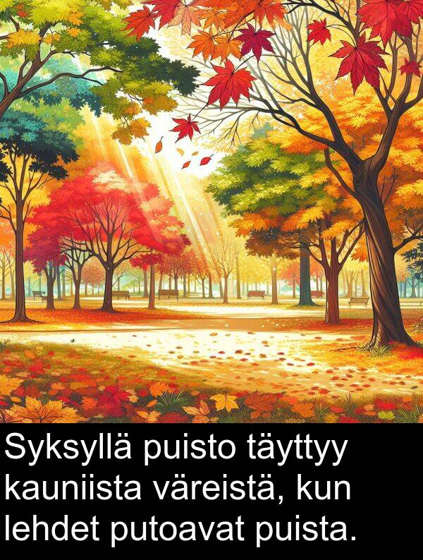 väreistä: Syksyllä puisto täyttyy kauniista väreistä, kun lehdet putoavat puista.