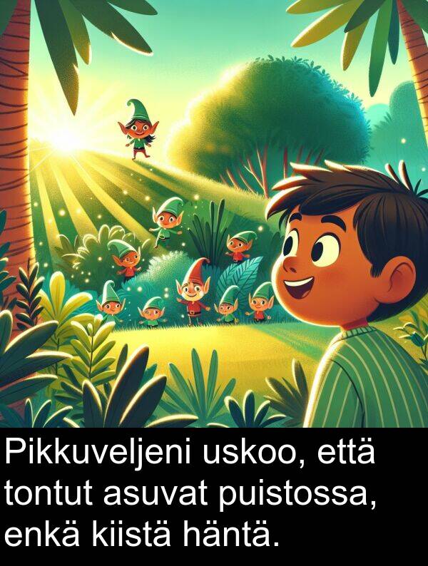 puistossa: Pikkuveljeni uskoo, että tontut asuvat puistossa, enkä kiistä häntä.