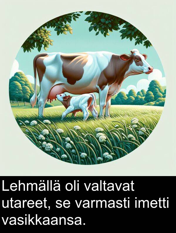 vasikkaansa: Lehmällä oli valtavat utareet, se varmasti imetti vasikkaansa.