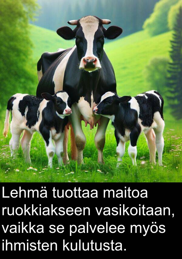 ihmisten: Lehmä tuottaa maitoa ruokkiakseen vasikoitaan, vaikka se palvelee myös ihmisten kulutusta.