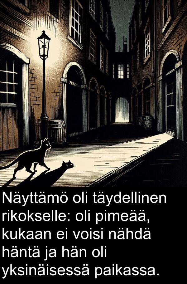 nähdä: Näyttämö oli täydellinen rikokselle: oli pimeää, kukaan ei voisi nähdä häntä ja hän oli yksinäisessä paikassa.