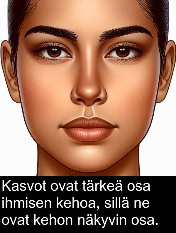 sillä: Kasvot ovat tärkeä osa ihmisen kehoa, sillä ne ovat kehon näkyvin osa.