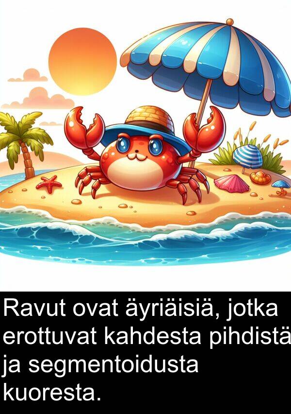 segmentoidusta: Ravut ovat äyriäisiä, jotka erottuvat kahdesta pihdistä ja segmentoidusta kuoresta.