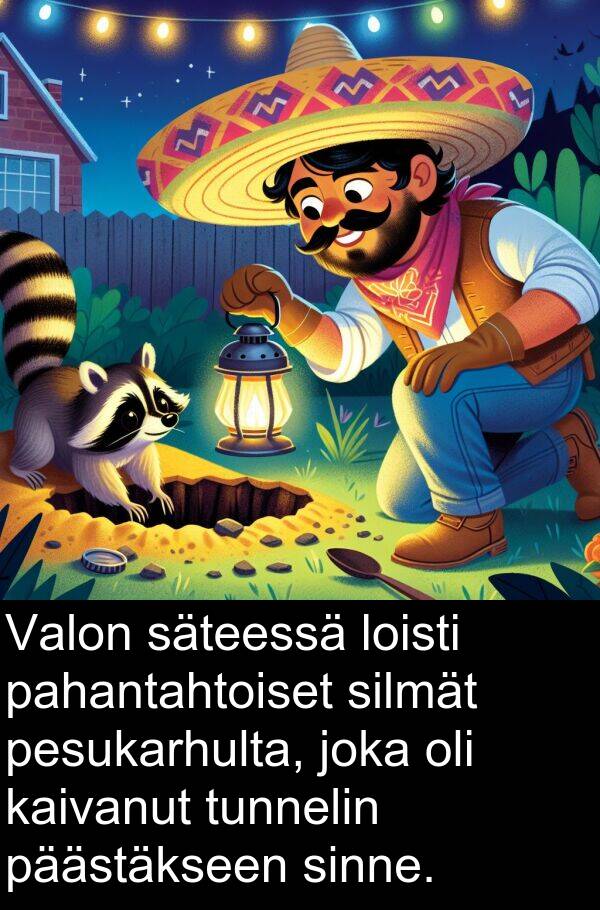 sinne: Valon säteessä loisti pahantahtoiset silmät pesukarhulta, joka oli kaivanut tunnelin päästäkseen sinne.