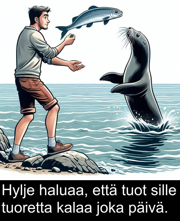 sille: Hylje haluaa, että tuot sille tuoretta kalaa joka päivä.