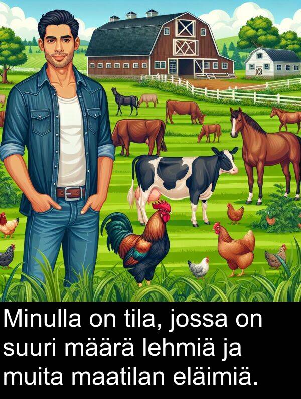 suuri: Minulla on tila, jossa on suuri määrä lehmiä ja muita maatilan eläimiä.