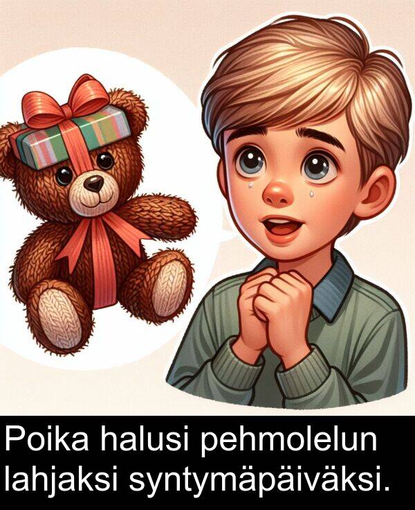 syntymäpäiväksi: Poika halusi pehmolelun lahjaksi syntymäpäiväksi.