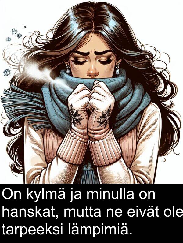ole: On kylmä ja minulla on hanskat, mutta ne eivät ole tarpeeksi lämpimiä.