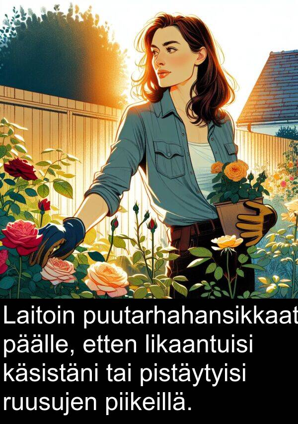 päälle: Laitoin puutarhahansikkaat päälle, etten likaantuisi käsistäni tai pistäytyisi ruusujen piikeillä.