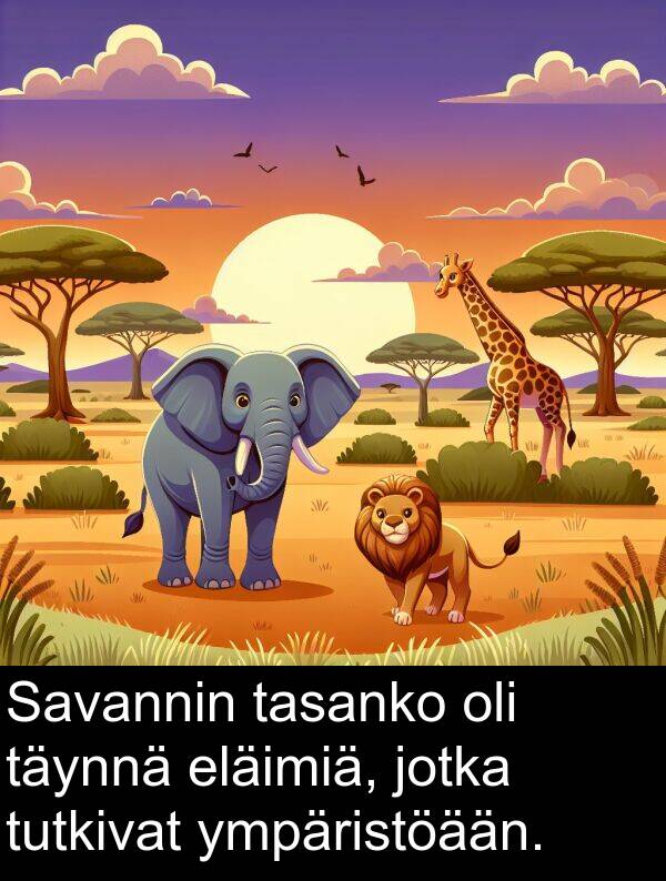 täynnä: Savannin tasanko oli täynnä eläimiä, jotka tutkivat ympäristöään.