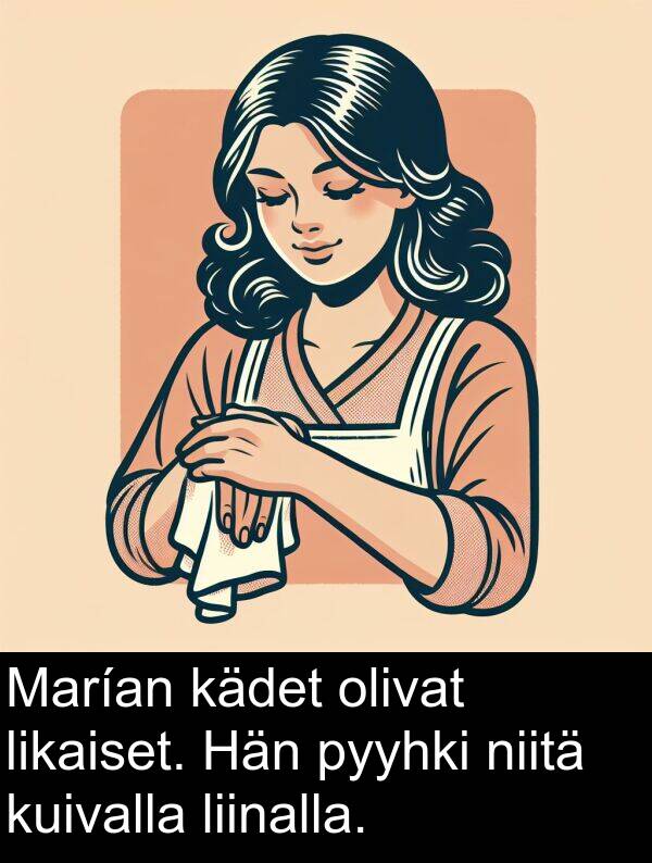 pyyhki: Marían kädet olivat likaiset. Hän pyyhki niitä kuivalla liinalla.