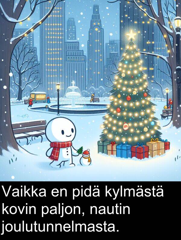 nautin: Vaikka en pidä kylmästä kovin paljon, nautin joulutunnelmasta.