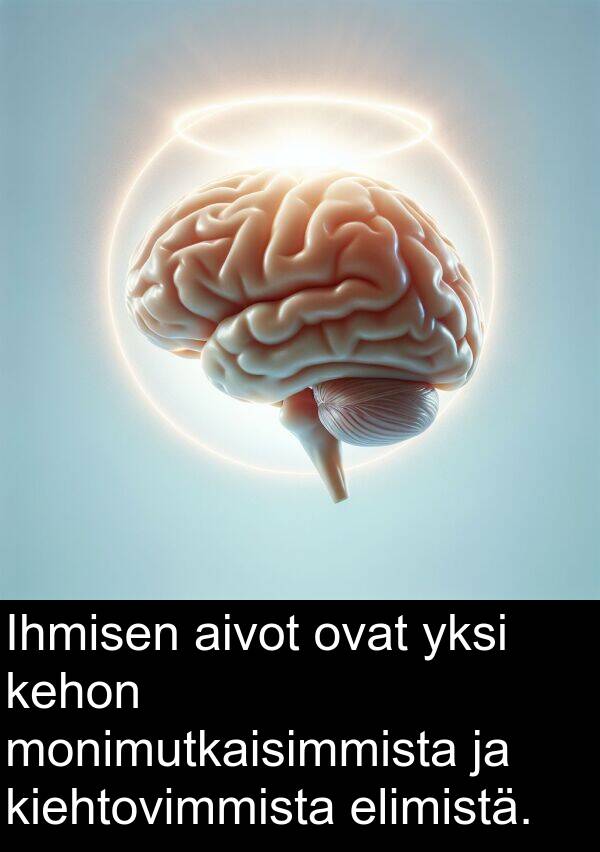 aivot: Ihmisen aivot ovat yksi kehon monimutkaisimmista ja kiehtovimmista elimistä.