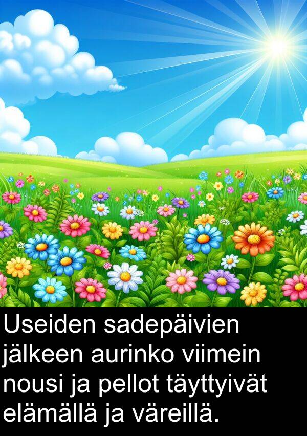sadepäivien: Useiden sadepäivien jälkeen aurinko viimein nousi ja pellot täyttyivät elämällä ja väreillä.