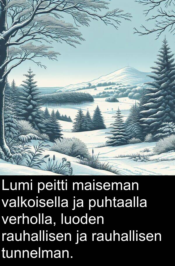 rauhallisen: Lumi peitti maiseman valkoisella ja puhtaalla verholla, luoden rauhallisen ja rauhallisen tunnelman.