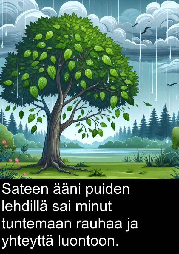 rauhaa: Sateen ääni puiden lehdillä sai minut tuntemaan rauhaa ja yhteyttä luontoon.