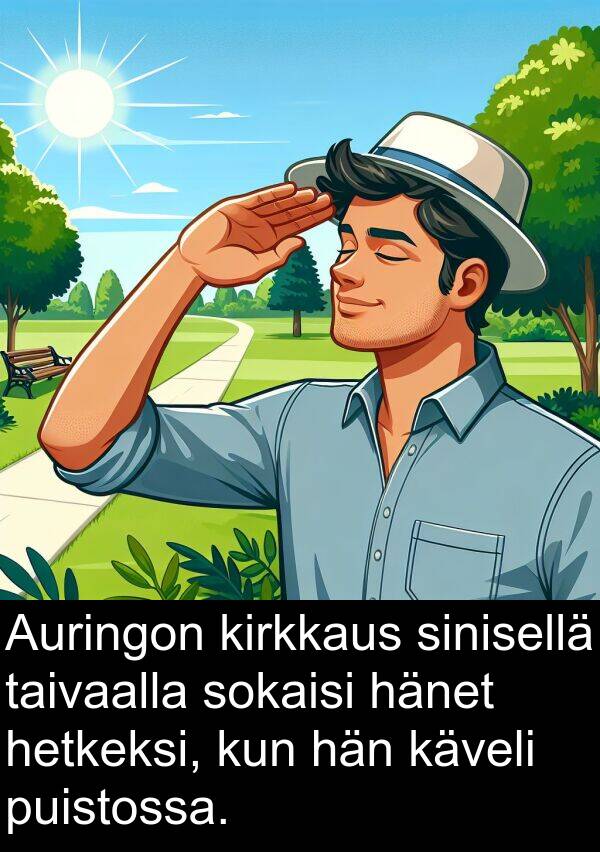 puistossa: Auringon kirkkaus sinisellä taivaalla sokaisi hänet hetkeksi, kun hän käveli puistossa.