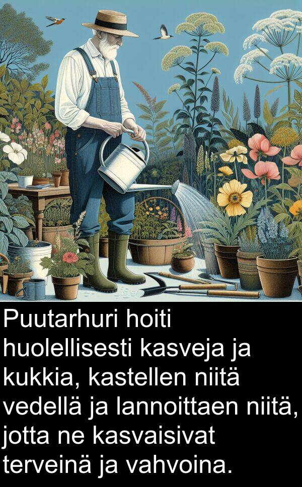 kastellen: Puutarhuri hoiti huolellisesti kasveja ja kukkia, kastellen niitä vedellä ja lannoittaen niitä, jotta ne kasvaisivat terveinä ja vahvoina.