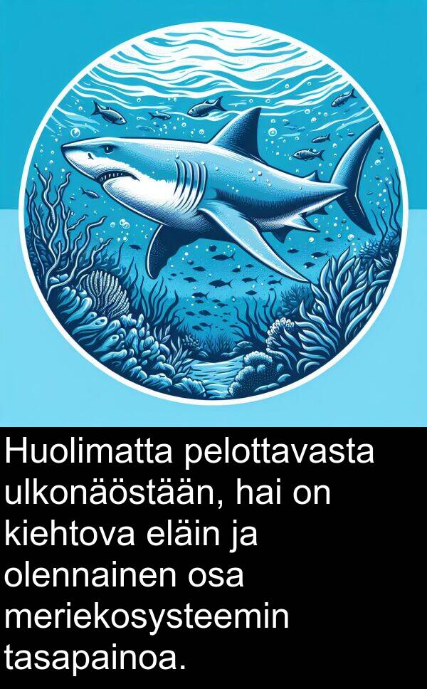 olennainen: Huolimatta pelottavasta ulkonäöstään, hai on kiehtova eläin ja olennainen osa meriekosysteemin tasapainoa.