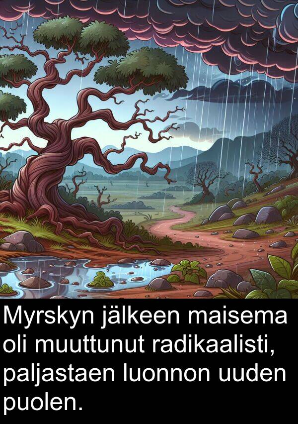 uuden: Myrskyn jälkeen maisema oli muuttunut radikaalisti, paljastaen luonnon uuden puolen.