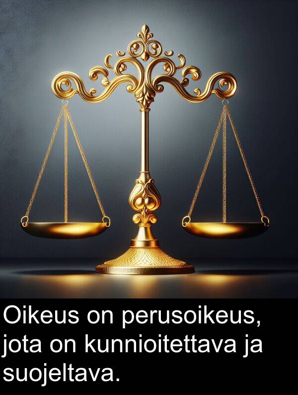 jota: Oikeus on perusoikeus, jota on kunnioitettava ja suojeltava.