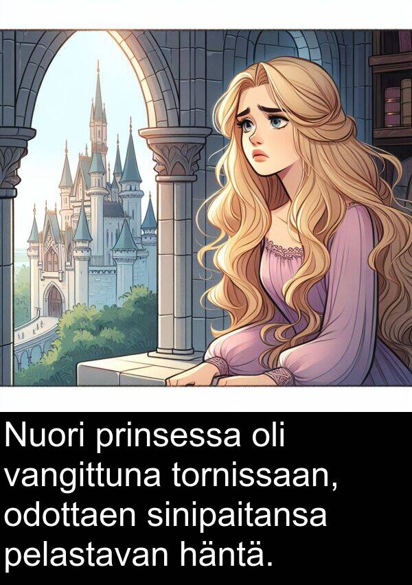 sinipaitansa: Nuori prinsessa oli vangittuna tornissaan, odottaen sinipaitansa pelastavan häntä.