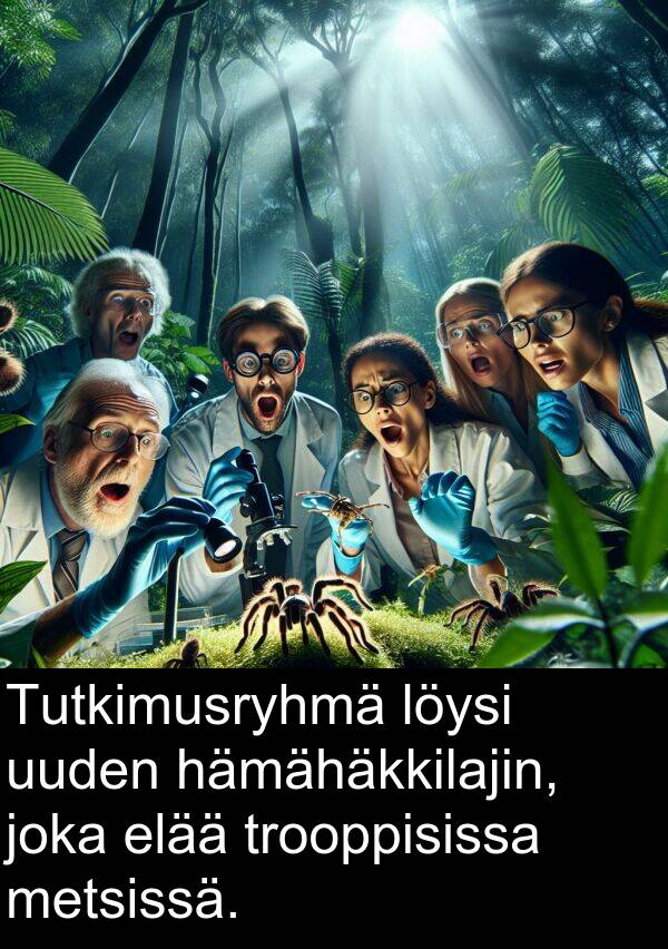 uuden: Tutkimusryhmä löysi uuden hämähäkkilajin, joka elää trooppisissa metsissä.