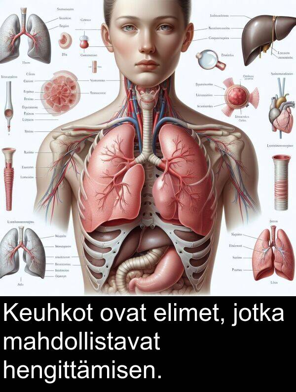 elimet: Keuhkot ovat elimet, jotka mahdollistavat hengittämisen.
