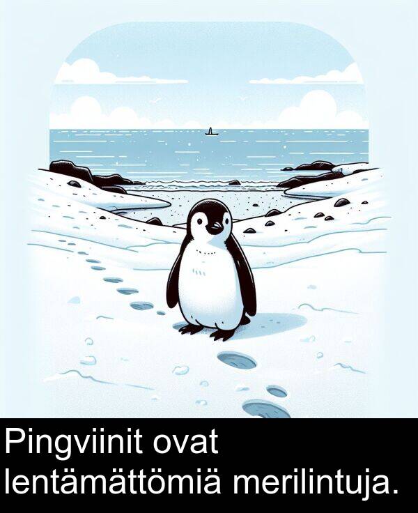 lentämättömiä: Pingviinit ovat lentämättömiä merilintuja.
