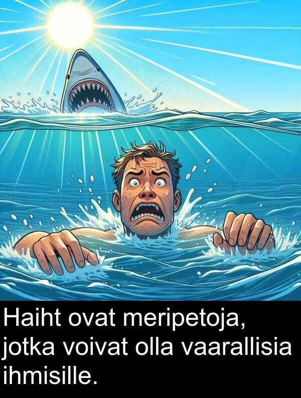 meripetoja: Haiht ovat meripetoja, jotka voivat olla vaarallisia ihmisille.