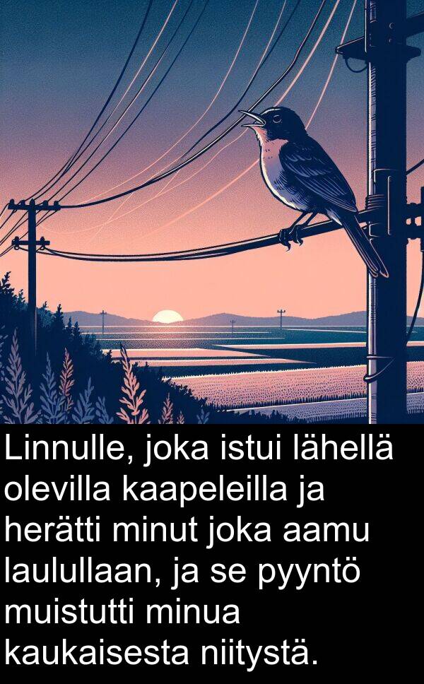 aamu: Linnulle, joka istui lähellä olevilla kaapeleilla ja herätti minut joka aamu laulullaan, ja se pyyntö muistutti minua kaukaisesta niitystä.