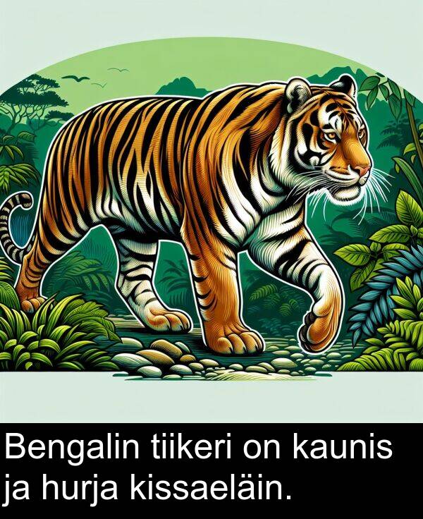 hurja: Bengalin tiikeri on kaunis ja hurja kissaeläin.