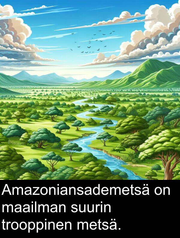 suurin: Amazoniansademetsä on maailman suurin trooppinen metsä.