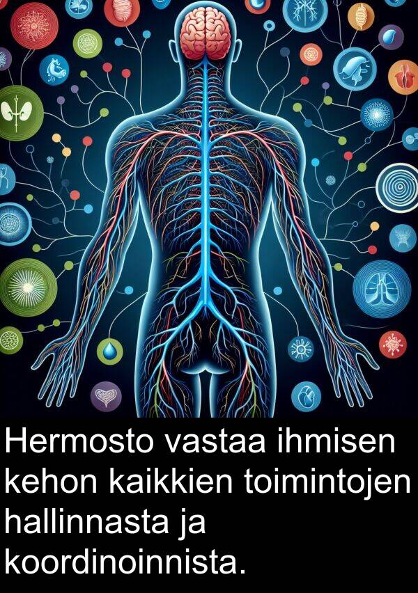 ihmisen: Hermosto vastaa ihmisen kehon kaikkien toimintojen hallinnasta ja koordinoinnista.